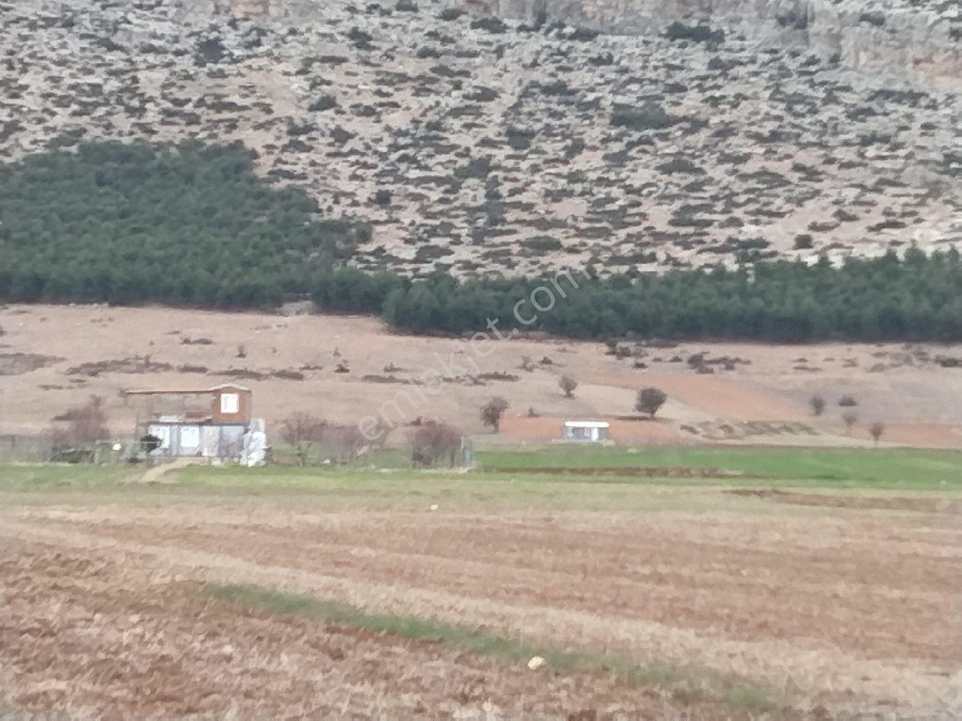 Antalya İli Korkuteli İlçesi Aşağı Bozova Mahallesi'nde Yatırımlık Tarla - Görsel 3