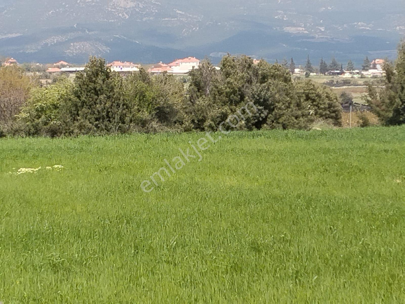 Antalya İli Korkuteli İlçesi Çomaklı Mahallesi'nde Yatirimlik Tarla - Görsel 3
