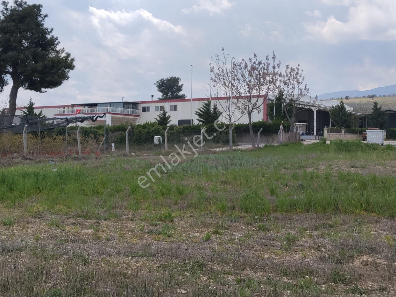 Antalya İli Korkuteli İlçesi Çomaklı Mahallesi'nde Yatirimlik Tarla - Görsel 13