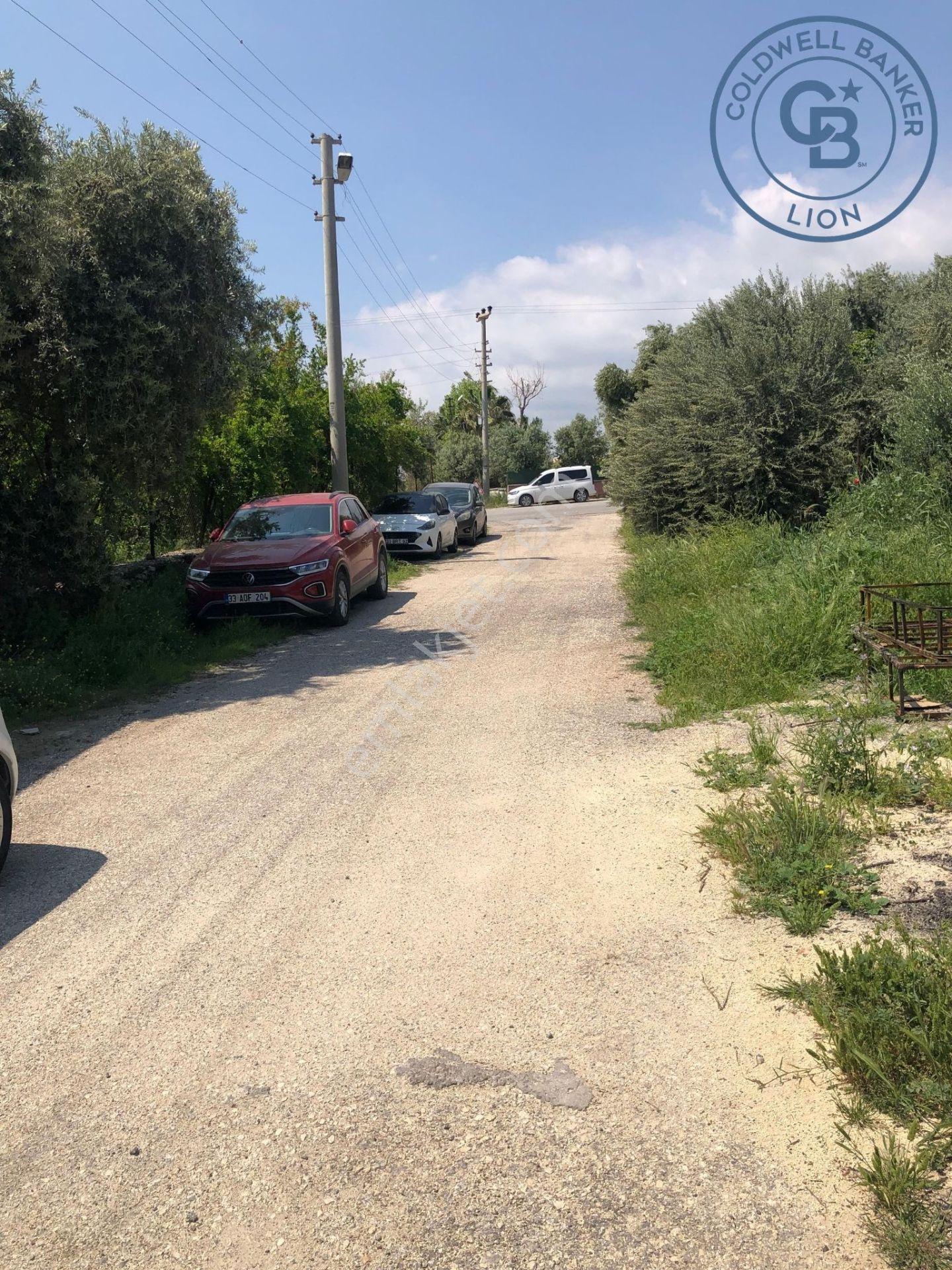 Mezıtlı Tece’de Soğuk Hava Deposu + Konutlu Eşsız Tarla Fırsatı - Görsel 24