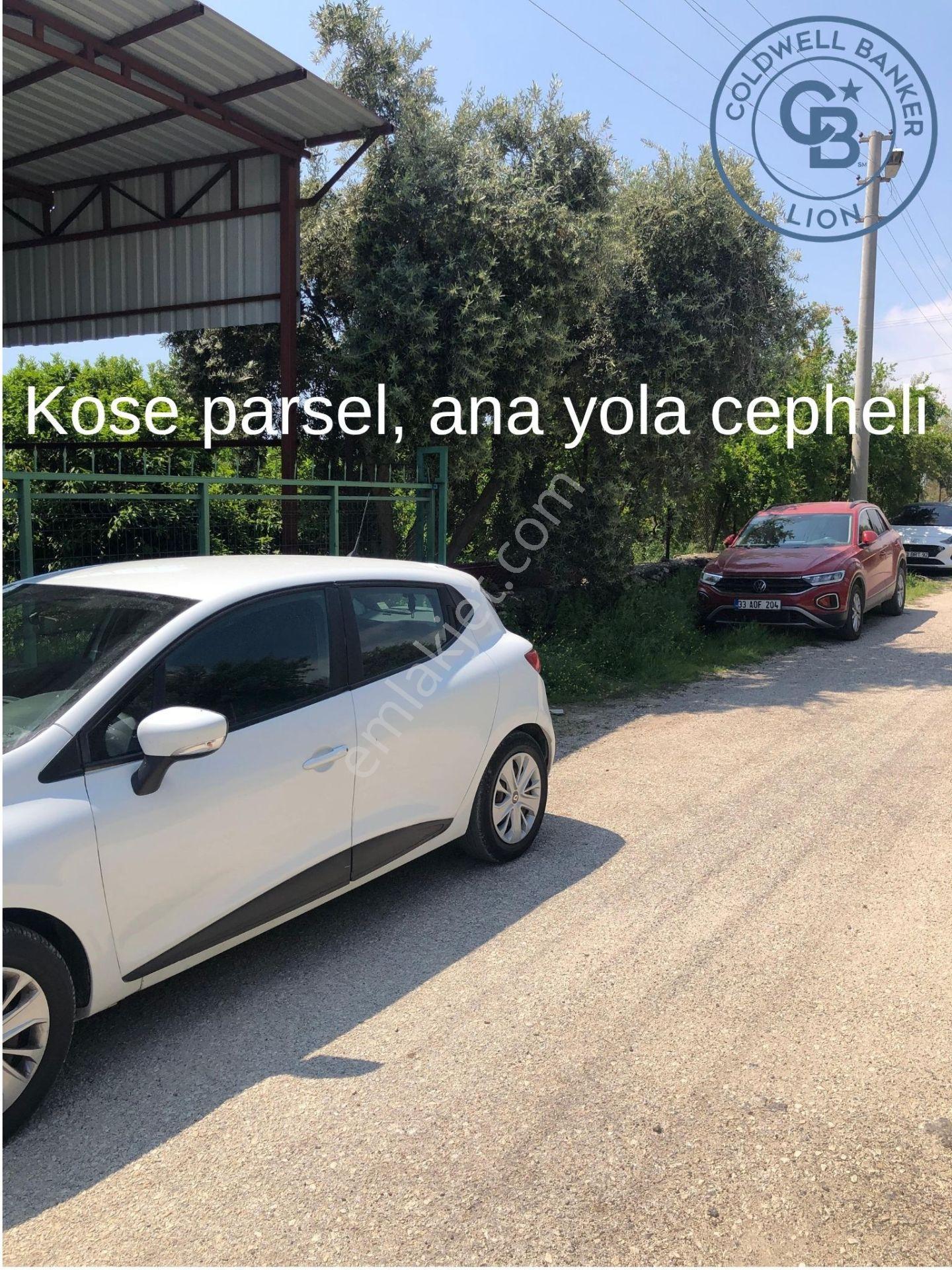 Mezıtlı Tece’de Soğuk Hava Deposu + Konutlu Eşsız Tarla Fırsatı - Görsel 20