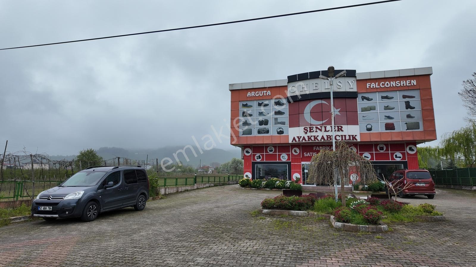 Karadeniz Sahil Yolu'nda, Tır Girişine Uygun, Geniş Fabrika - Görsel 8