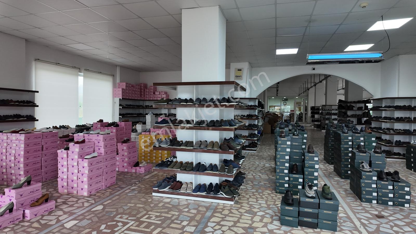 Karadeniz Sahil Yolu'nda, Tır Girişine Uygun, Geniş Fabrika - Görsel 11