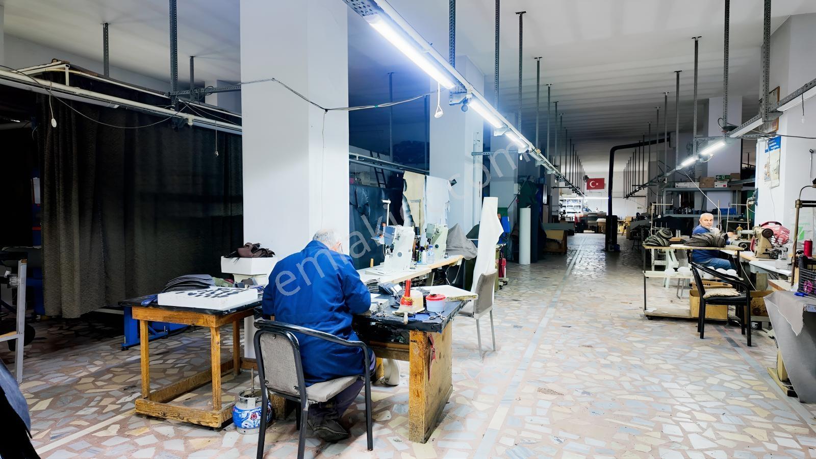 Karadeniz Sahil Yolu'nda, Tır Girişine Uygun, Geniş Fabrika - Görsel 13
