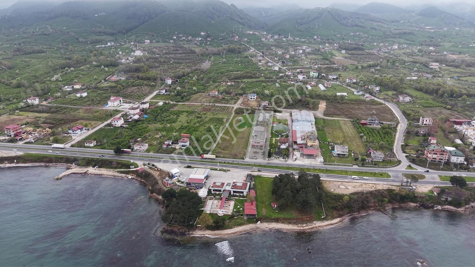 Karadeniz Sahil Yolu'nda, Tır Girişine Uygun, Geniş Fabrika - Görsel 2