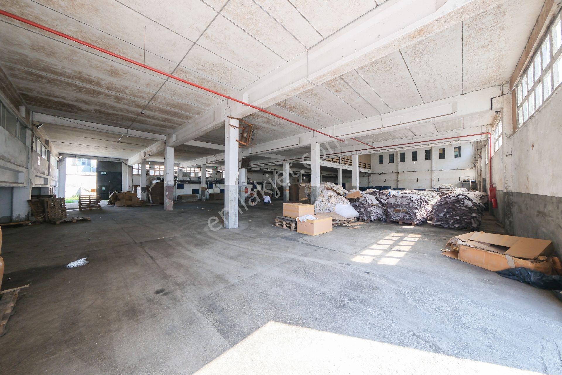 İstanbul Deri Osb Kiralık 5.000 M² Taşınmaya Hazır Fabrika - Görsel 12