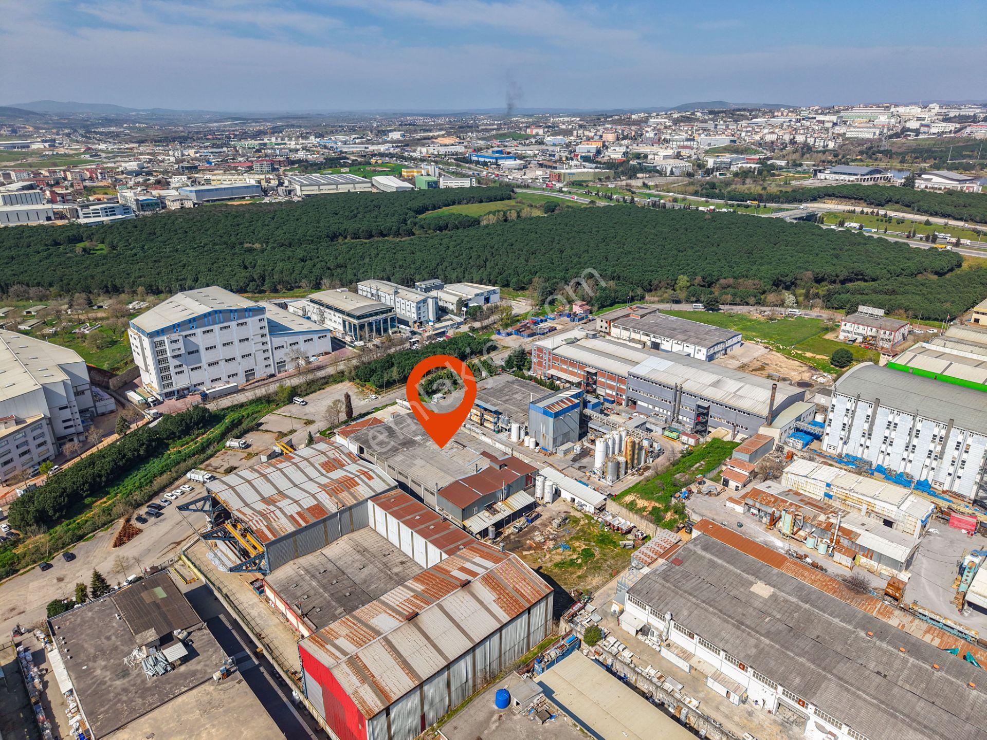 İstanbul Deri Osb Kiralık 5.000 M² Taşınmaya Hazır Fabrika - Görsel 4