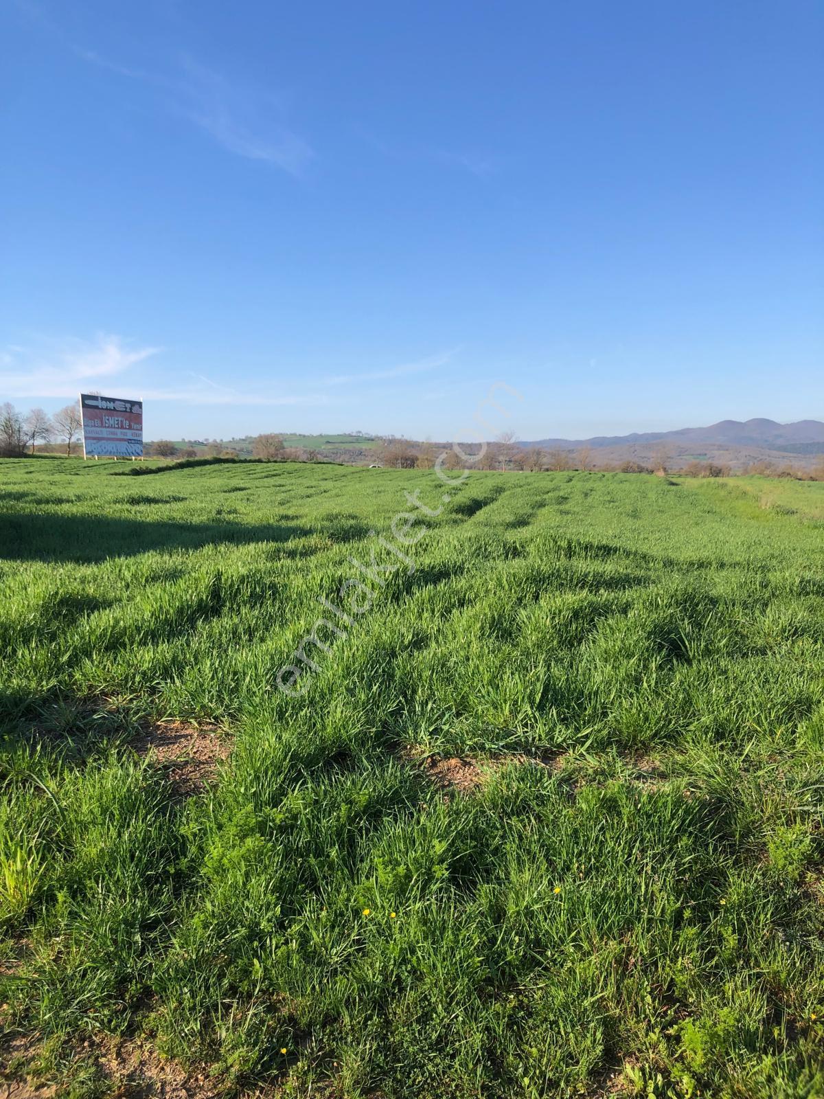 Balıklıçeşme Osb Yanı Satılık Tarla - Görsel 12