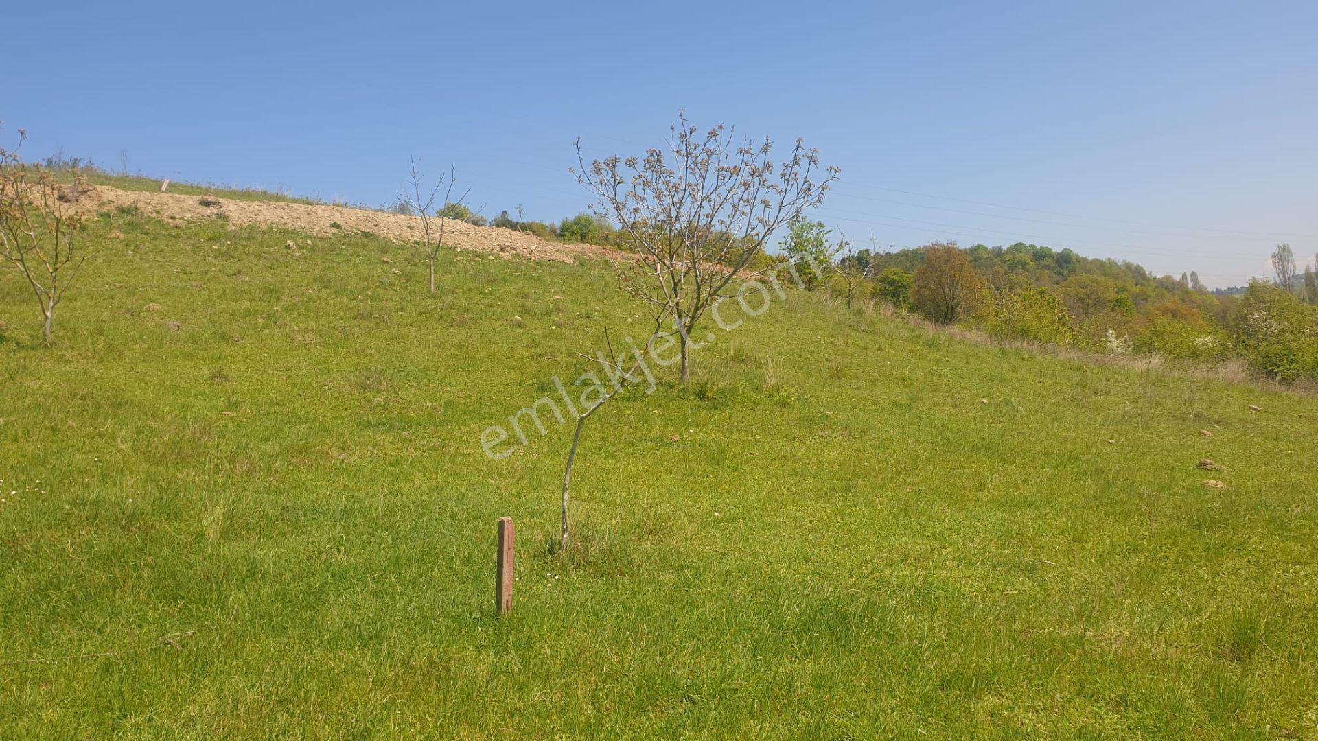Yalova Çınarcık İmarlı 349 M2 Arsa Kaçmaz - Görsel 2