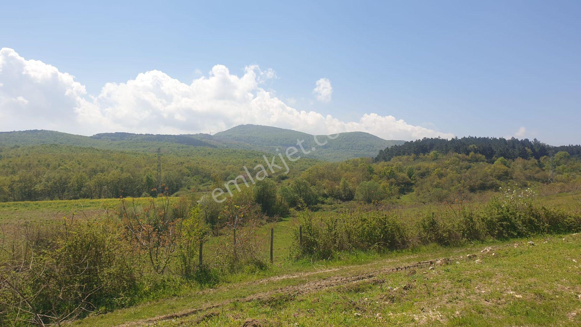 Yalova Çınarcık İmarlı 349 M2 Arsa Kaçmaz
