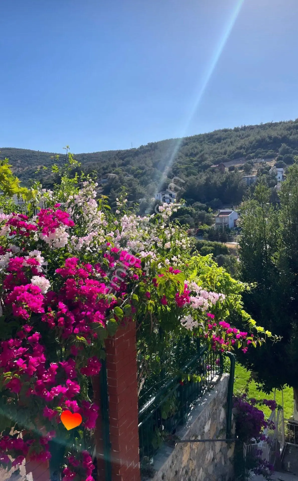 Yeni Foça'da Deniz Manzaralı Bahçeli Eşyalı Kiralık Yazlık - Görsel 8