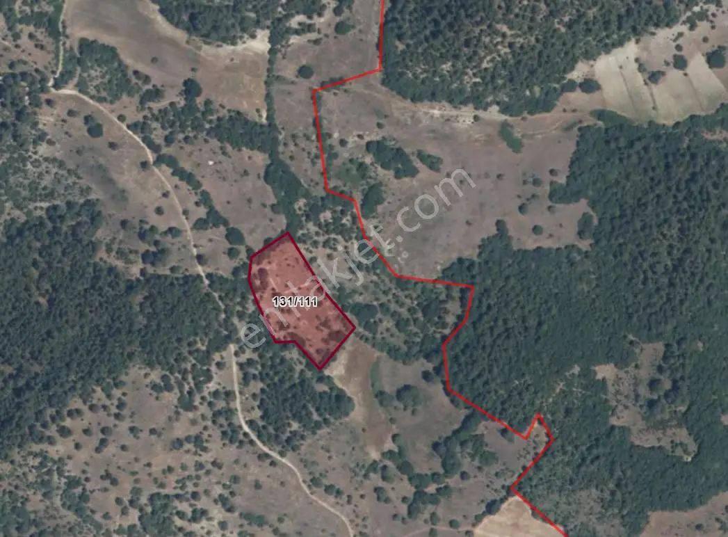 Elfi Den Çatalçam Mahallesinde Satılık 8279 M2 Tarla