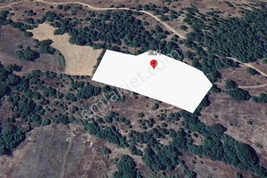 Elfi Den Çatalçam Mahallesinde Satılık 8279 M2 Tarla - Görsel 4