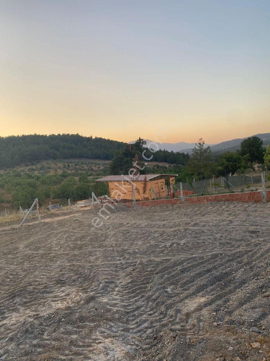 İzmir Torbalı Çamlıca Bölgesinde Satılık Tarla - Görsel 4