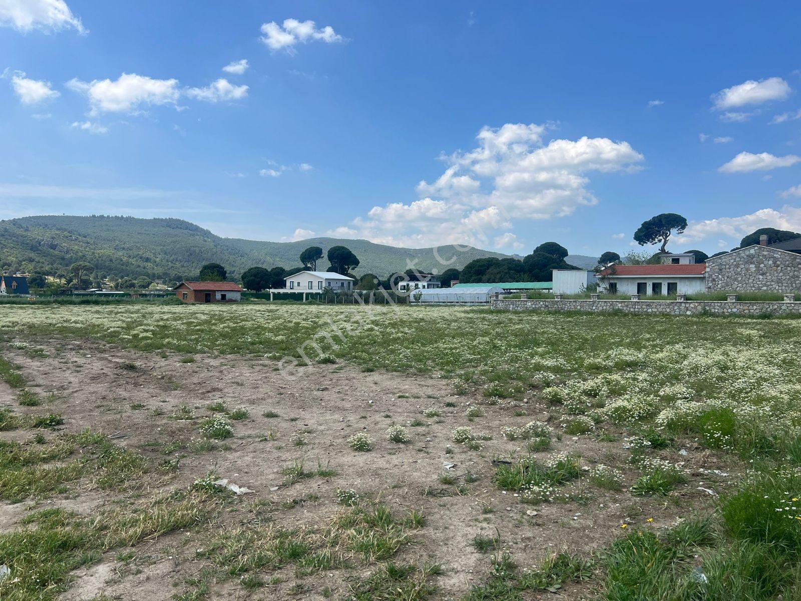Menderesde Satılık Bahçe 300 M2 - Görsel 2