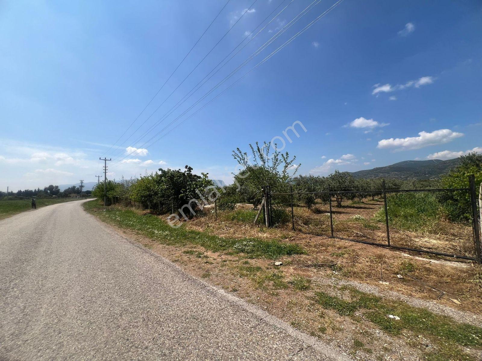 Menderesde Satılık Bahçe 300 M2 - Görsel 3