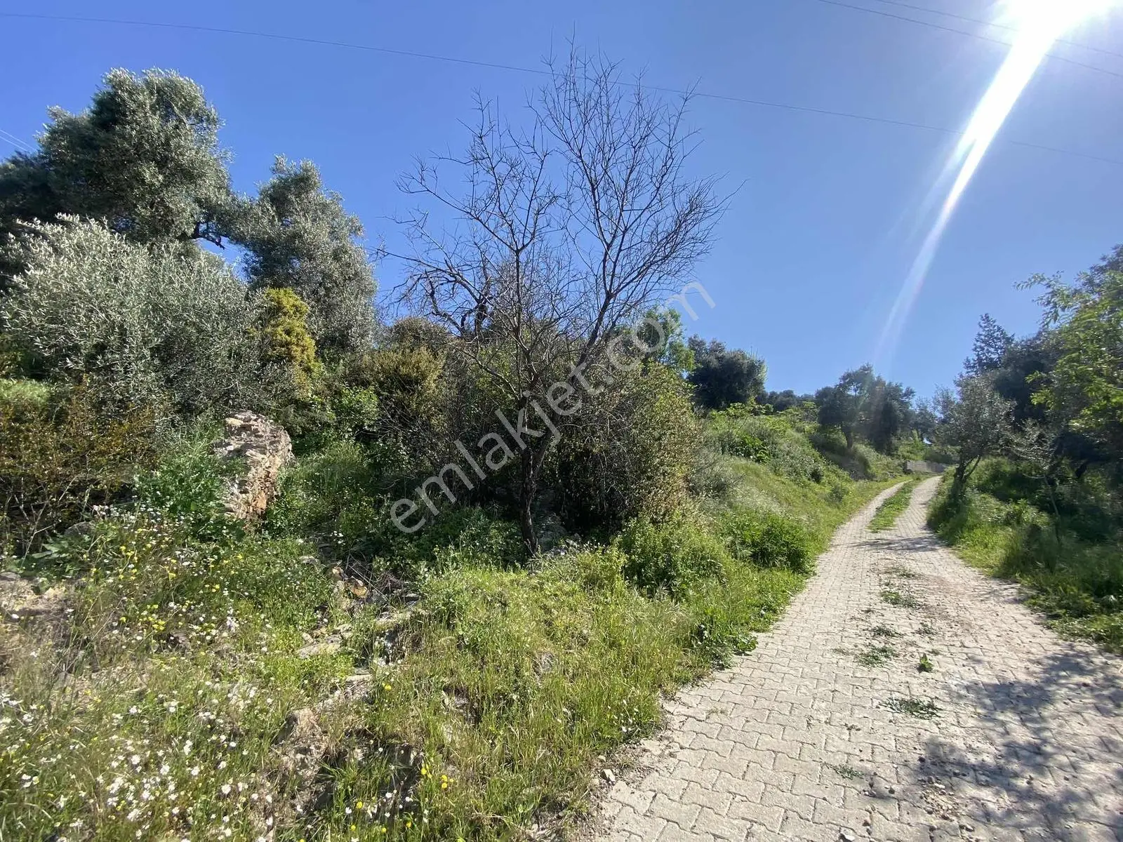 Remax Pin'den Balıkköyde Satılık 548 M2 Manzaralı Arsa - Görsel 2