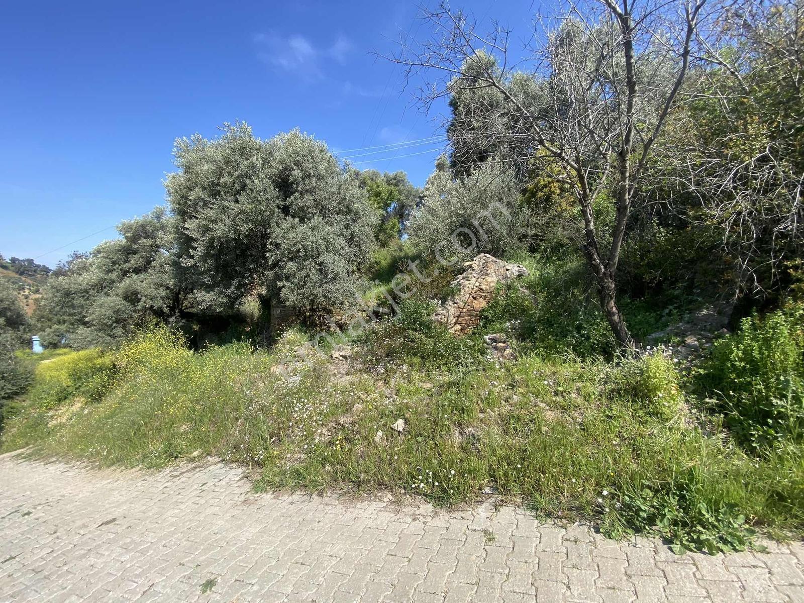 Remax Pin'den Balıkköyde Satılık 548 M2 Manzaralı Arsa - Görsel 7