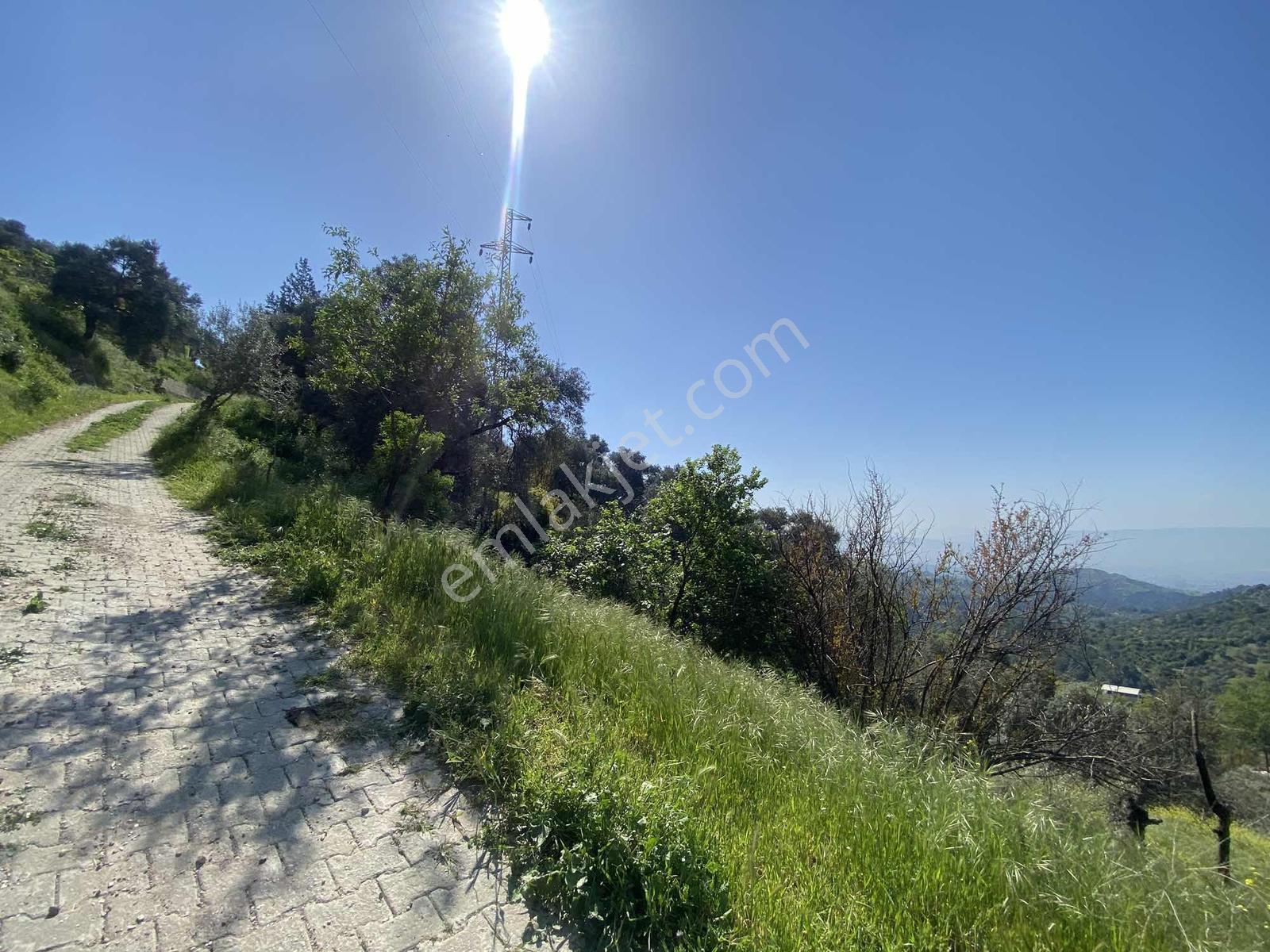Remax Pin'den Balıkköyde Satılık 548 M2 Manzaralı Arsa - Görsel 4