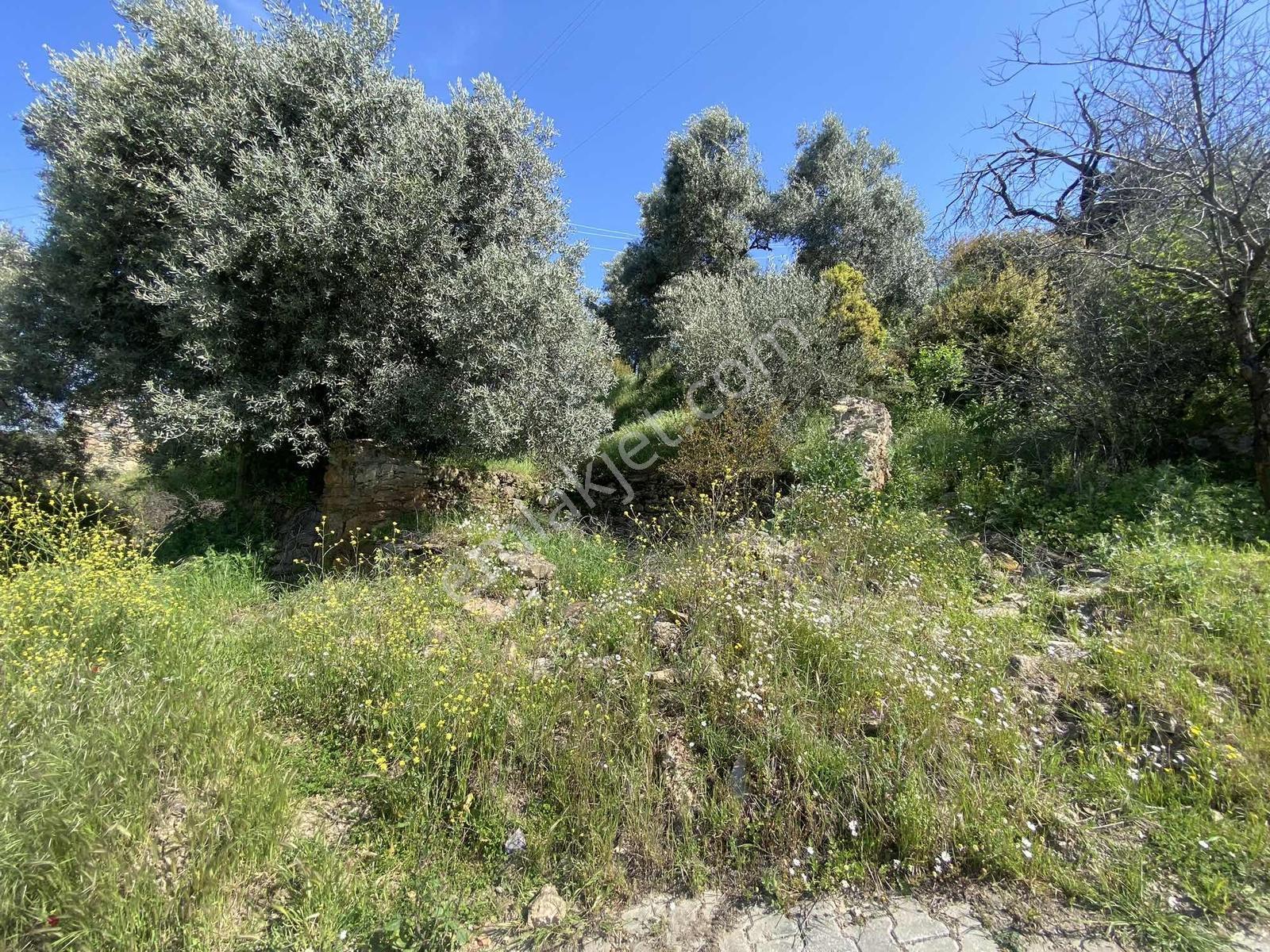 Remax Pin'den Balıkköyde Satılık 548 M2 Manzaralı Arsa - Görsel 12