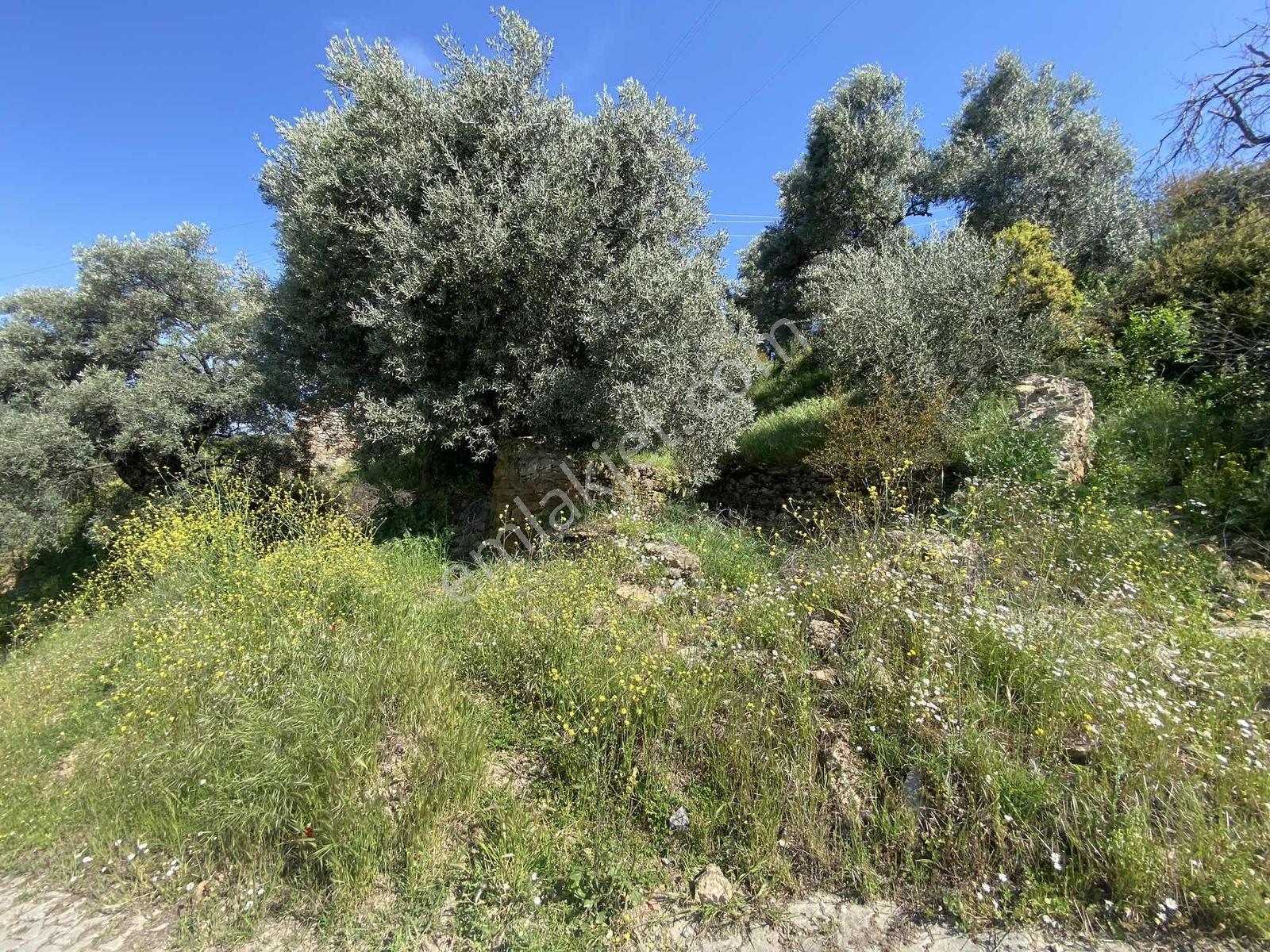 Remax Pin'den Balıkköyde Satılık 548 M2 Manzaralı Arsa - Görsel 11