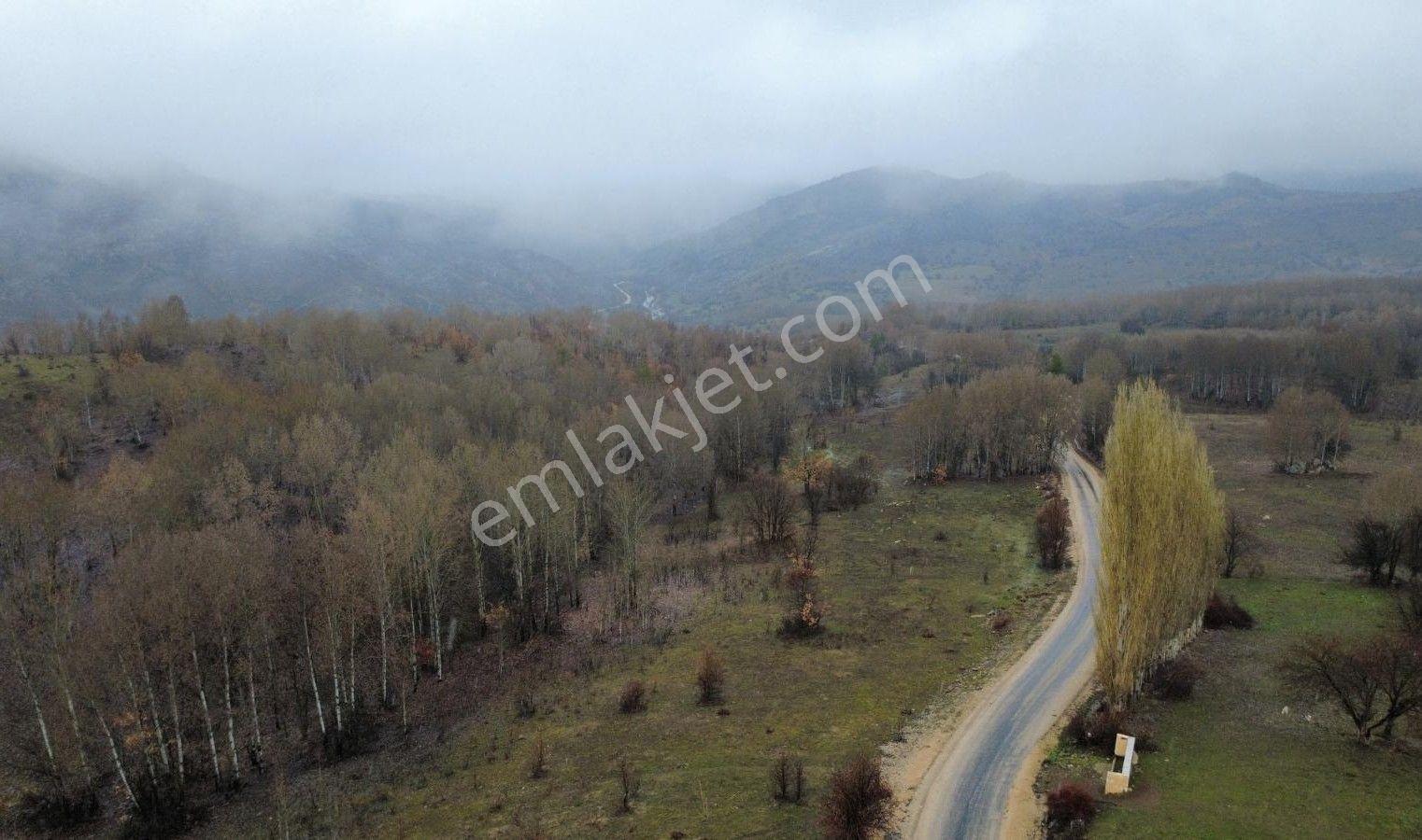Giresun Alucra'da Satılık Arazi - Görsel 22