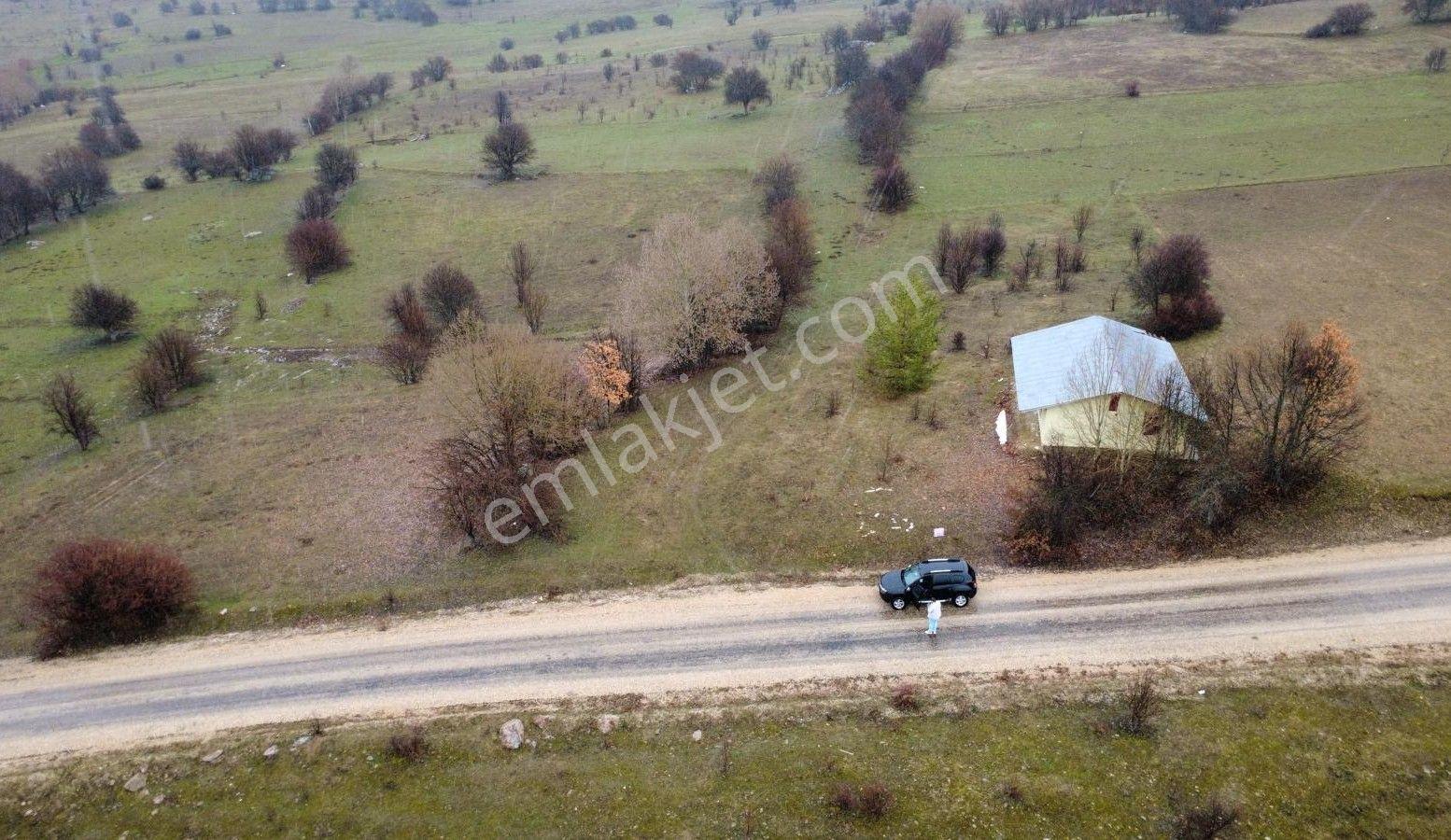 Giresun Alucra'da Satılık Arazi - Görsel 11
