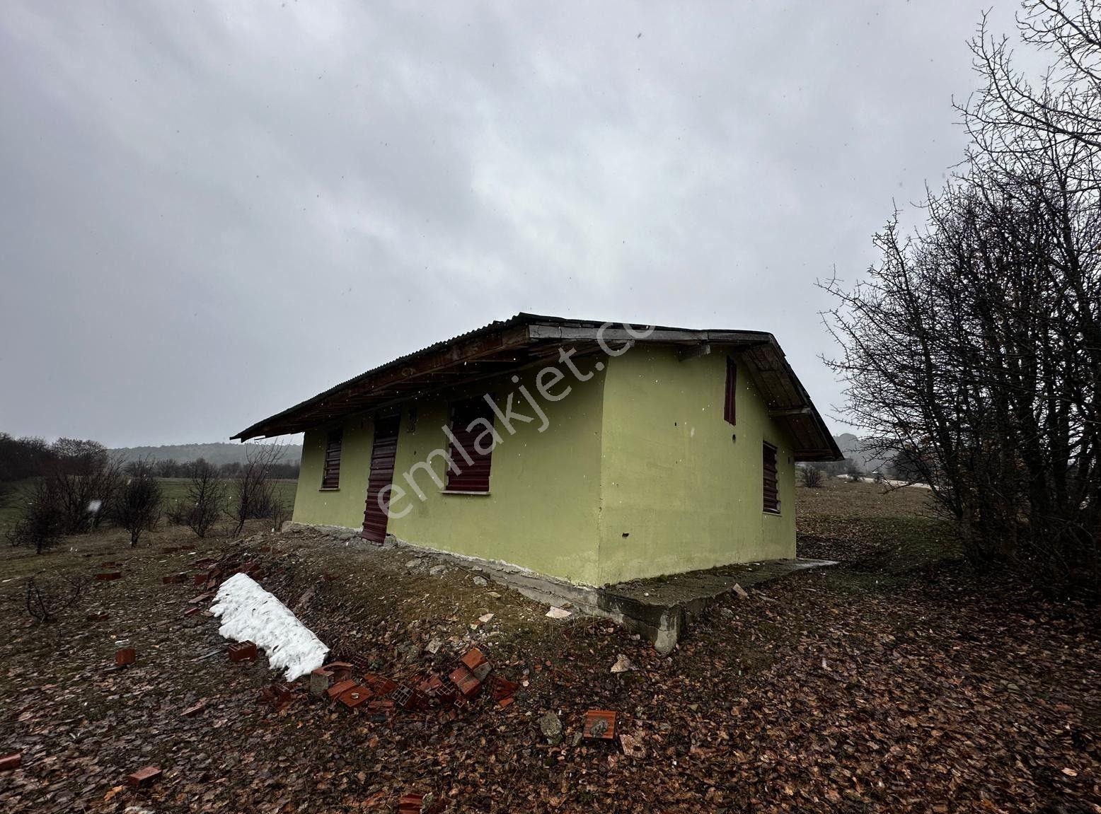 Giresun Alucra'da Satılık Arazi - Görsel 4