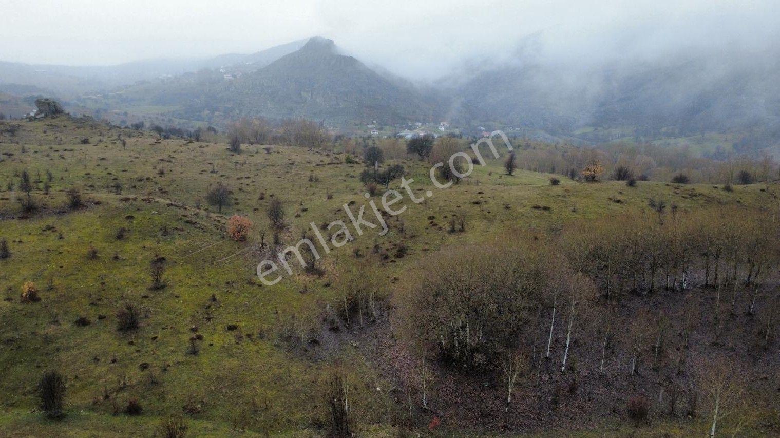 Giresun Alucra'da Satılık Arazi - Görsel 20
