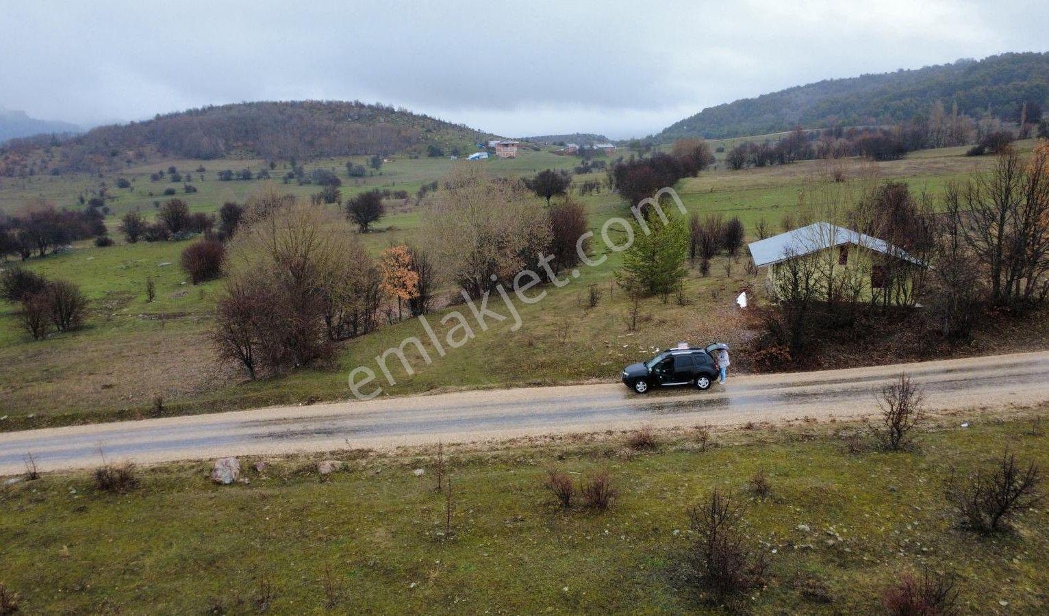 Giresun Alucra'da Satılık Arazi - Görsel 10