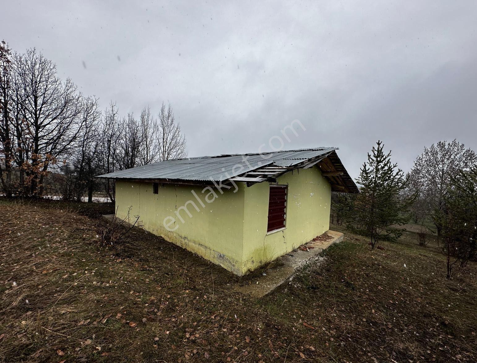 Giresun Alucra'da Satılık Arazi - Görsel 6