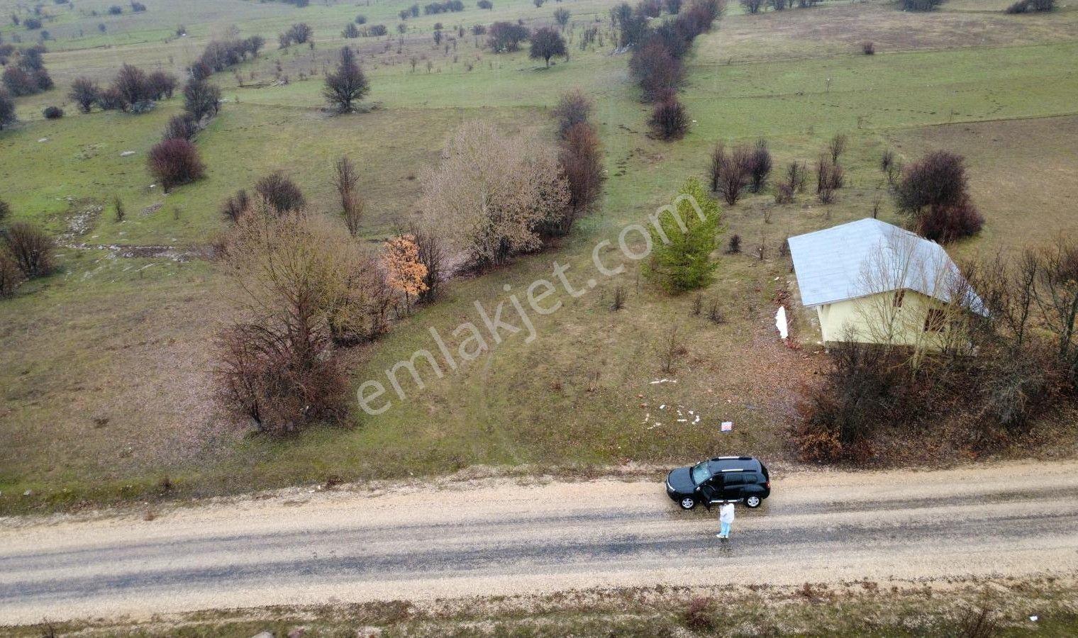 Giresun Alucra'da Satılık Arazi - Görsel 7