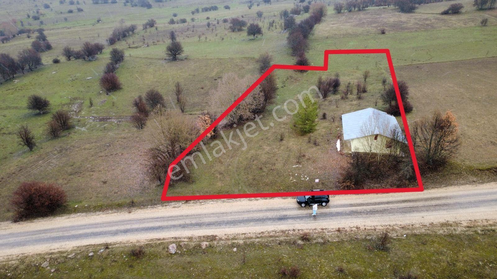Giresun Alucra'da Satılık Arazi - Görsel 9