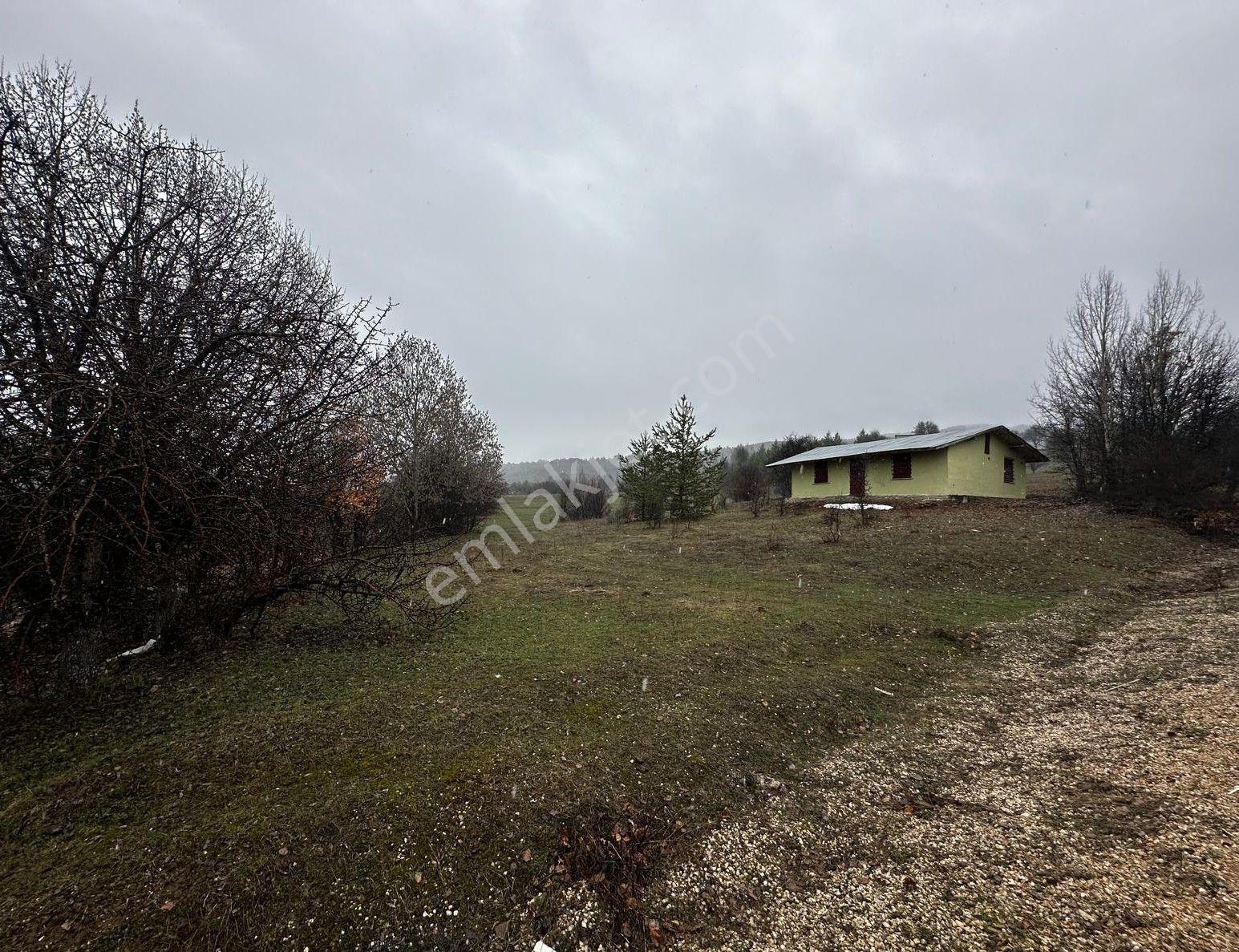 Giresun Alucra'da Satılık Arazi - Görsel 5