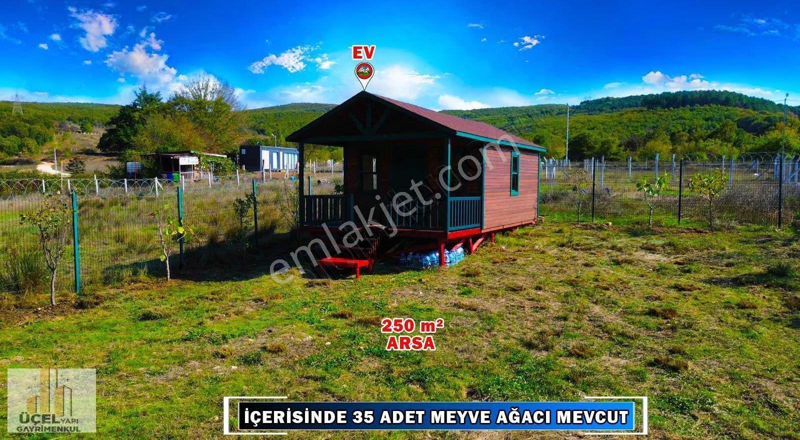 Çatalca Binkılıç 250 M2 Arsa İçinde Ahşap Satılık Hobi Bahçesi - Görsel 13