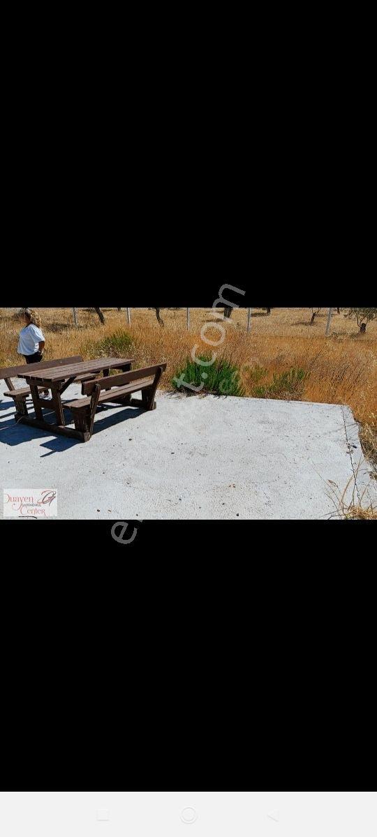 Yabancıdan.yola Cepheli Satılık Tarla.sultaniye Ada.parsel - Görsel 7