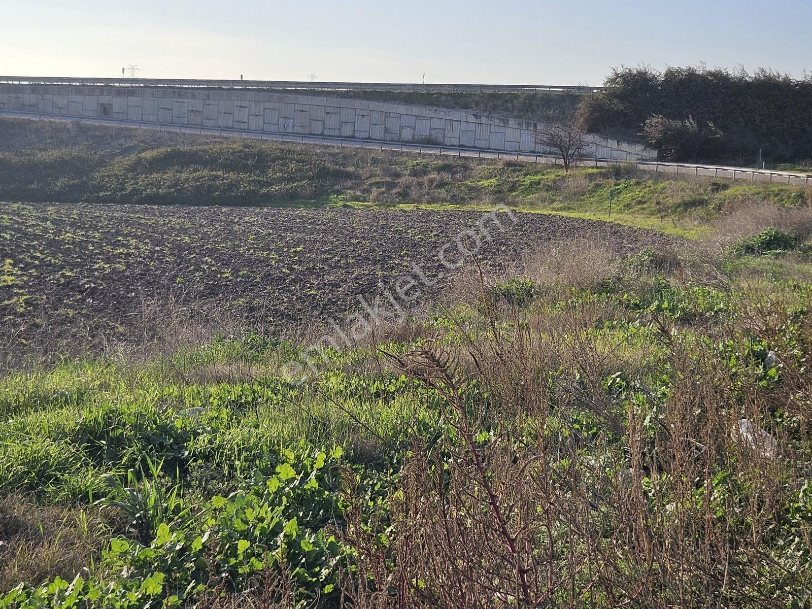 Bandırma Ana Yol Üzeri Akçapınar'da 4634 M2 Satılık Tarla - Görsel 6