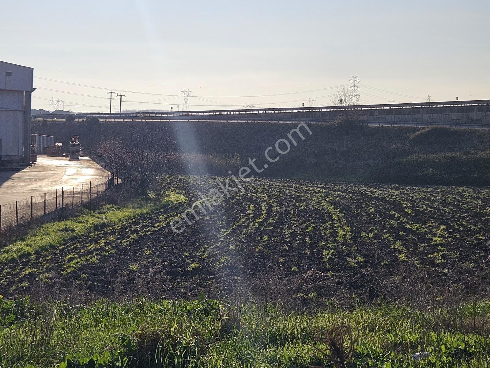 Bandırma Ana Yol Üzeri Akçapınar'da 4634 M2 Satılık Tarla - Görsel 10