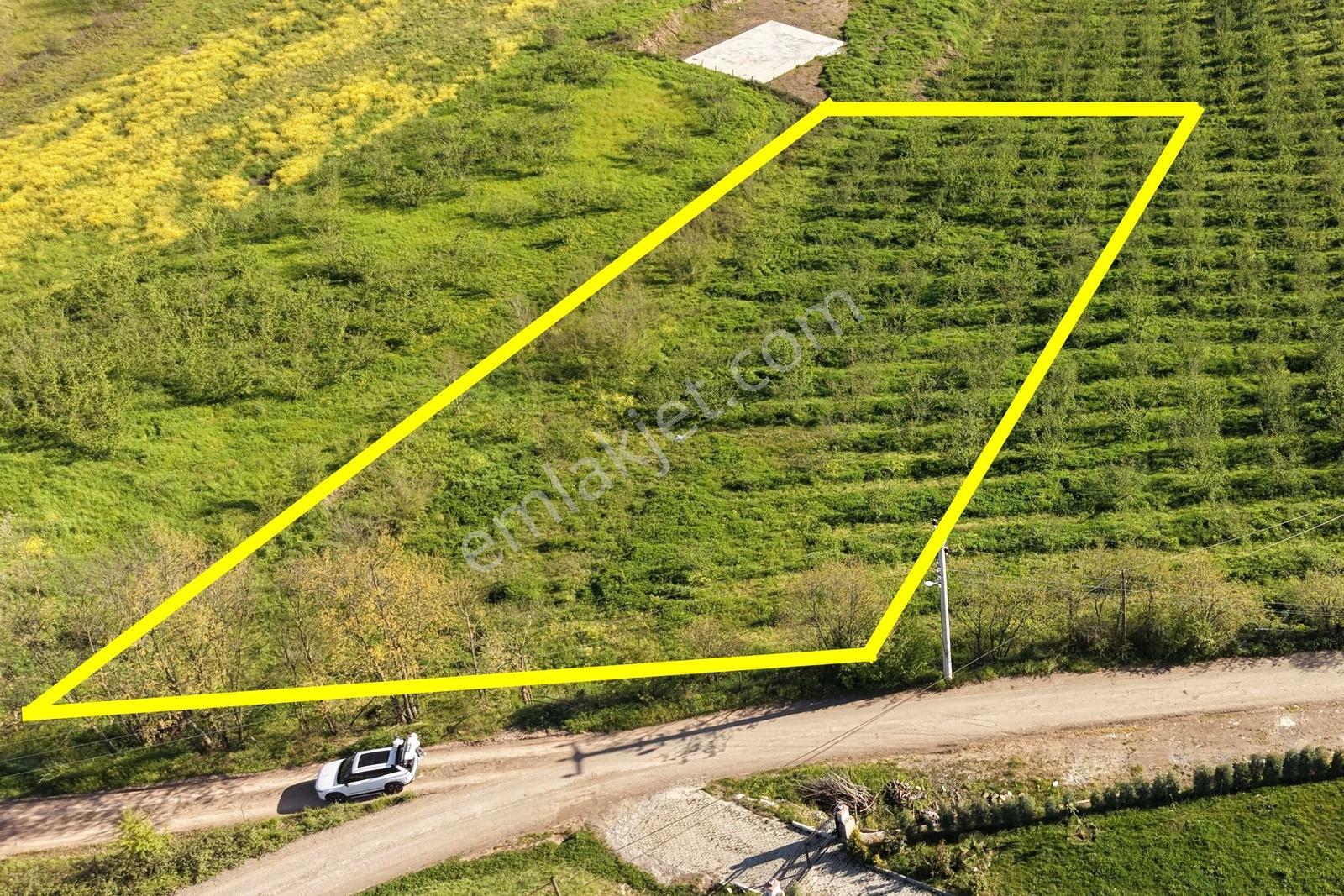 Emlakevim - Esentepe Mah. De 1500 M2 Satılık İmarlı Arsa !! - Görsel 9