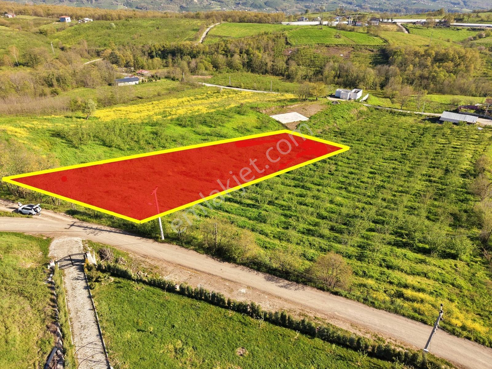 Emlakevim - Esentepe Mah. De 1500 M2 Satılık İmarlı Arsa !! - Görsel 11