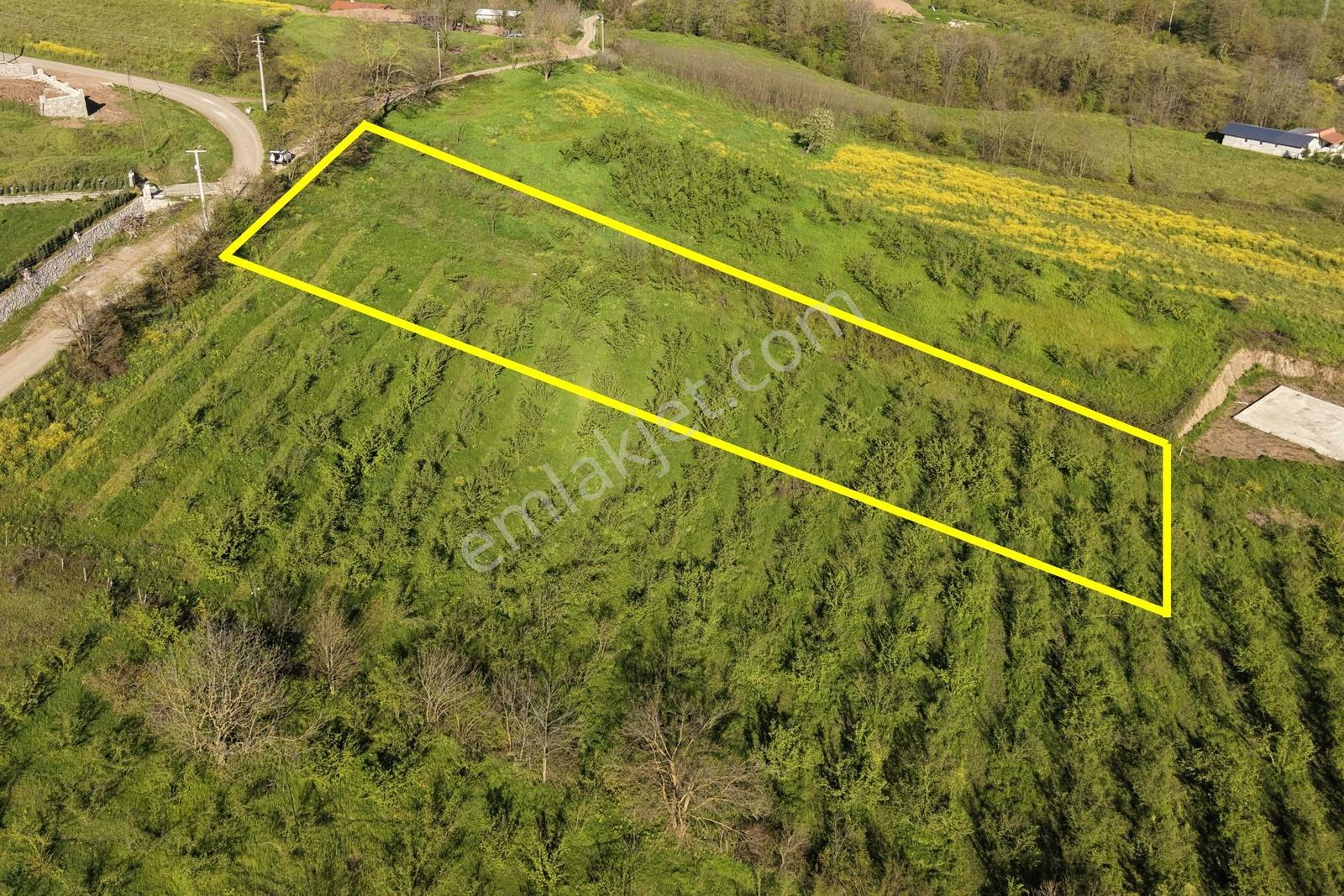 Emlakevim - Esentepe Mah. De 1500 M2 Satılık İmarlı Arsa !! - Görsel 14