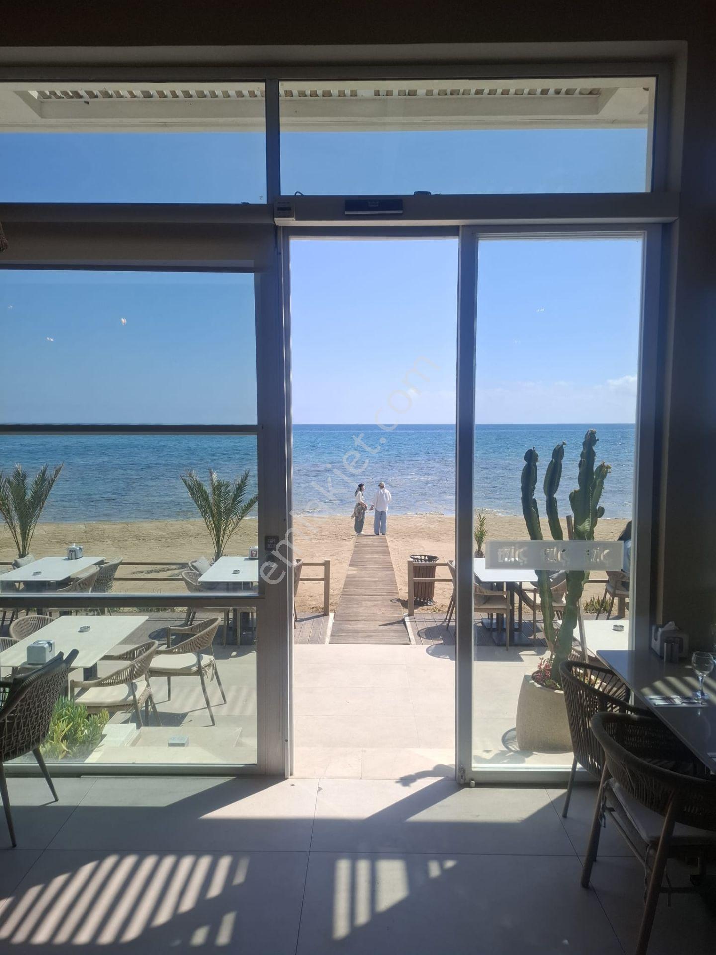 Kıbrıs In Yıldızı İskele Longbeach Da Kaçırılmayacak Fırsat - Görsel 6