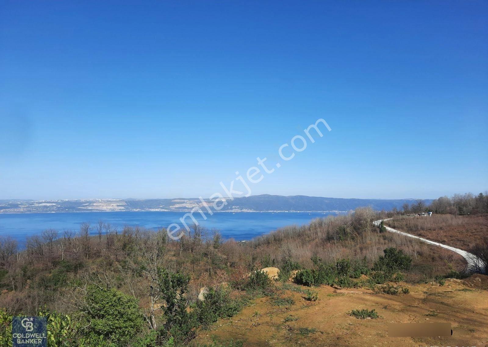 Çamçukurda Panoramik Deniz Manzaralı Satılık 3531 M2 Tarla - Görsel 6