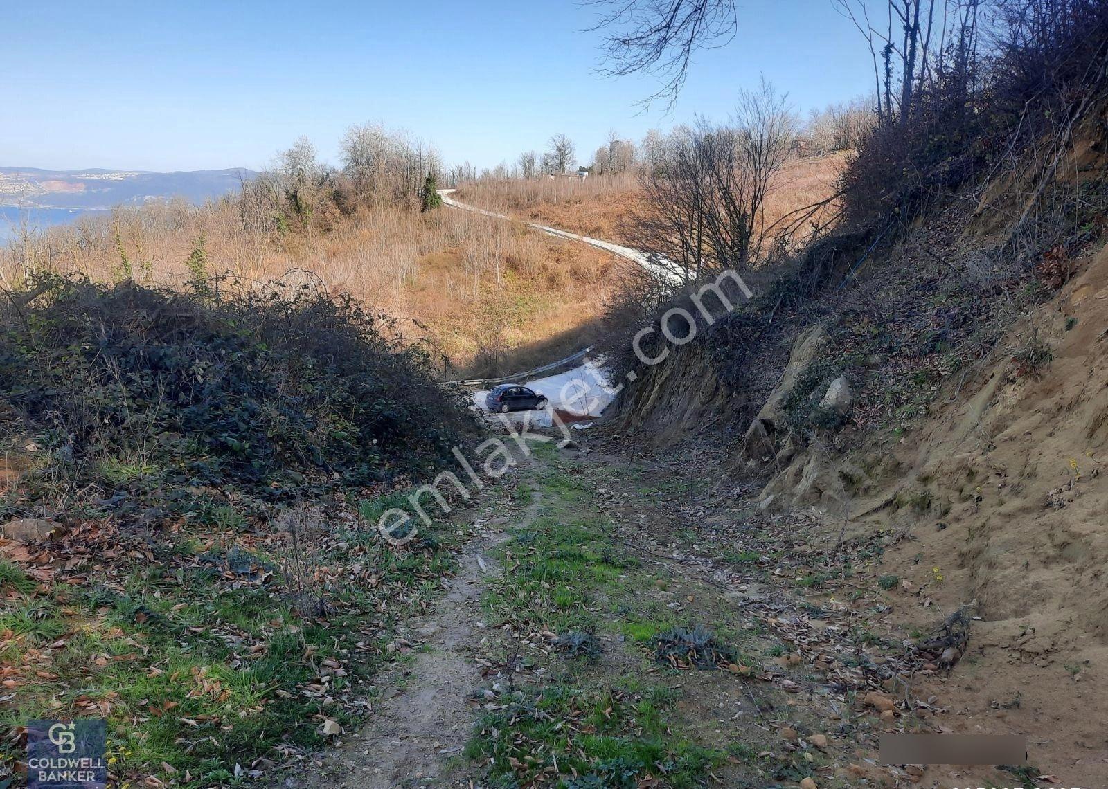 Çamçukurda Panoramik Deniz Manzaralı Satılık 3531 M2 Tarla - Görsel 10