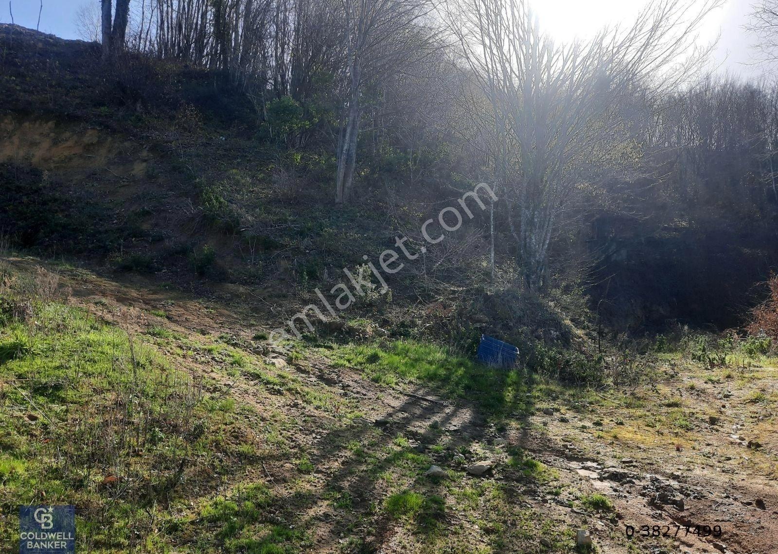 Çamçukurda Panoramik Deniz Manzaralı Satılık 3531 M2 Tarla - Görsel 14