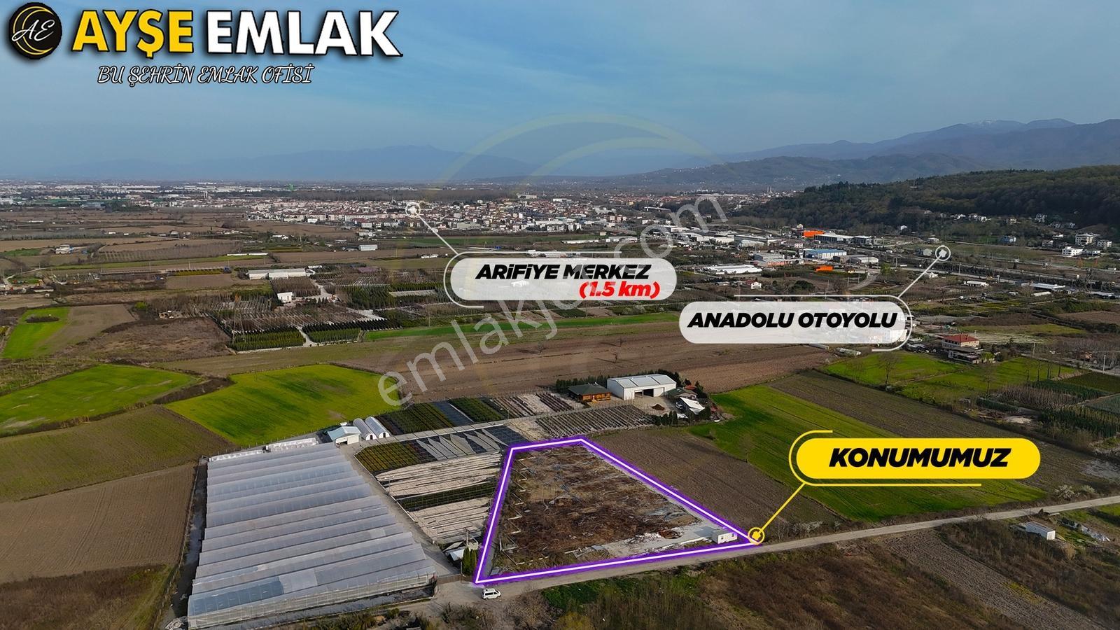 Sapanca Gölüne Yakın "kiralık" Fırsat Tarla - Görsel 5