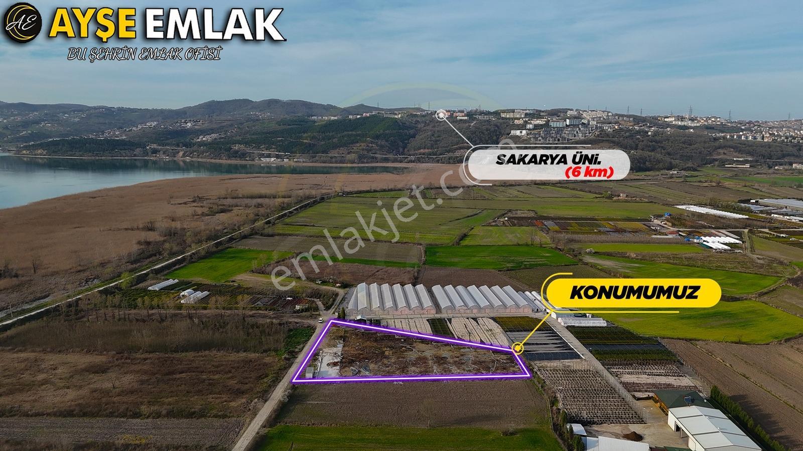 Sapanca Gölüne Yakın "kiralık" Fırsat Tarla - Görsel 7