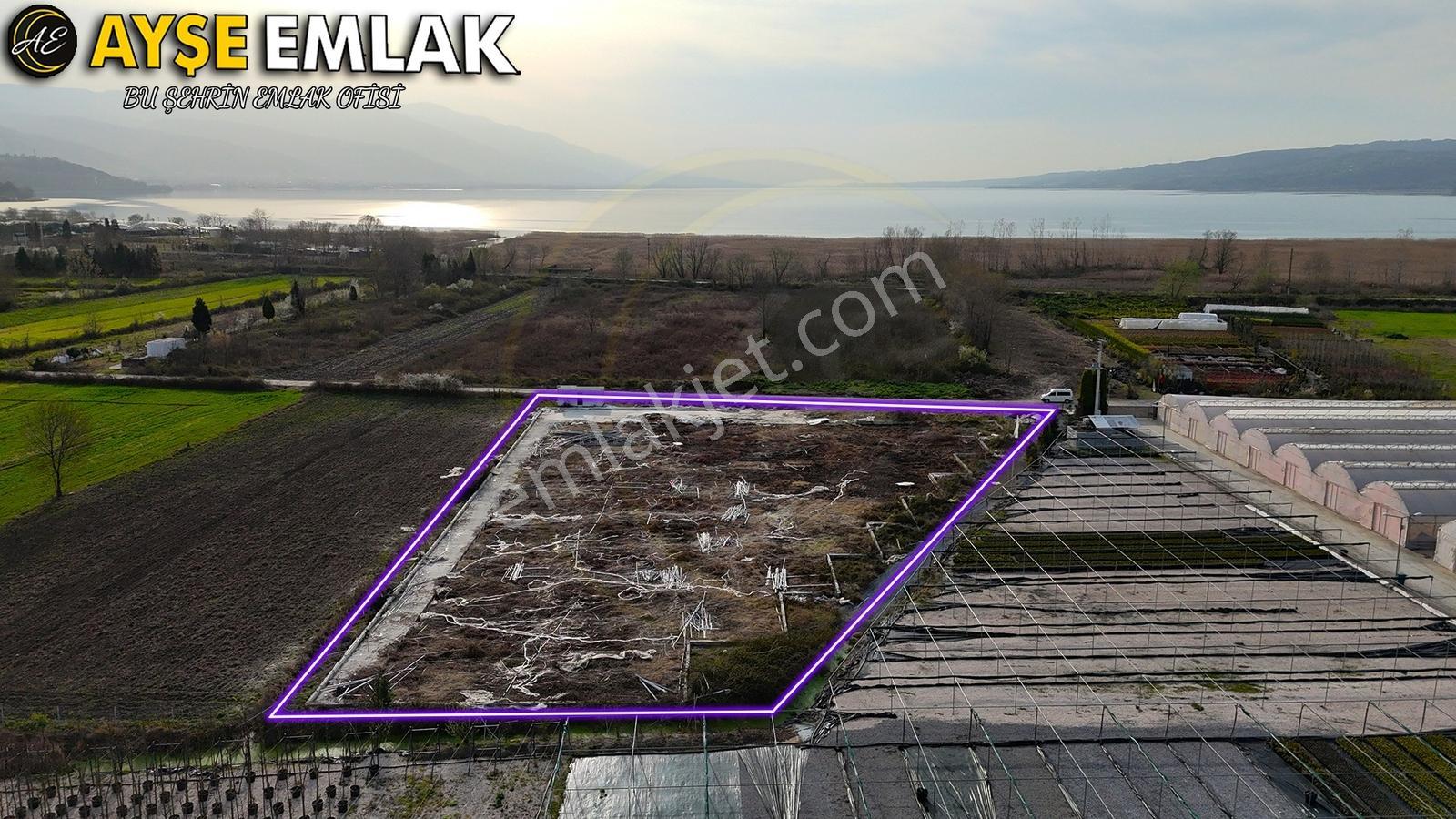 Sapanca Gölüne Yakın "kiralık" Fırsat Tarla - Görsel 2