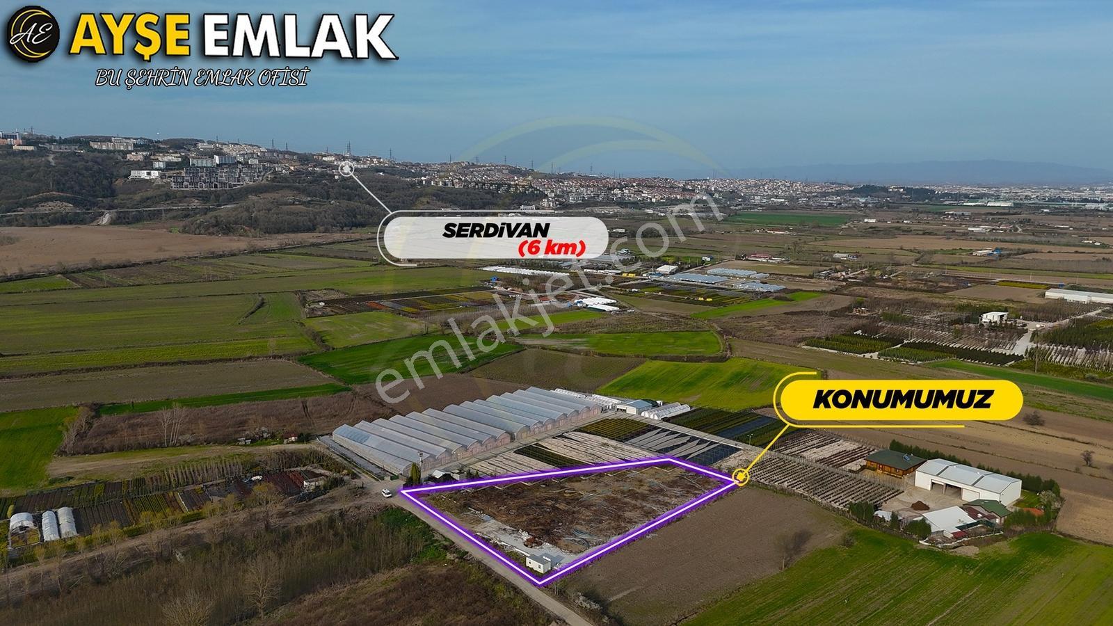 Sapanca Gölüne Yakın "kiralık" Fırsat Tarla - Görsel 6