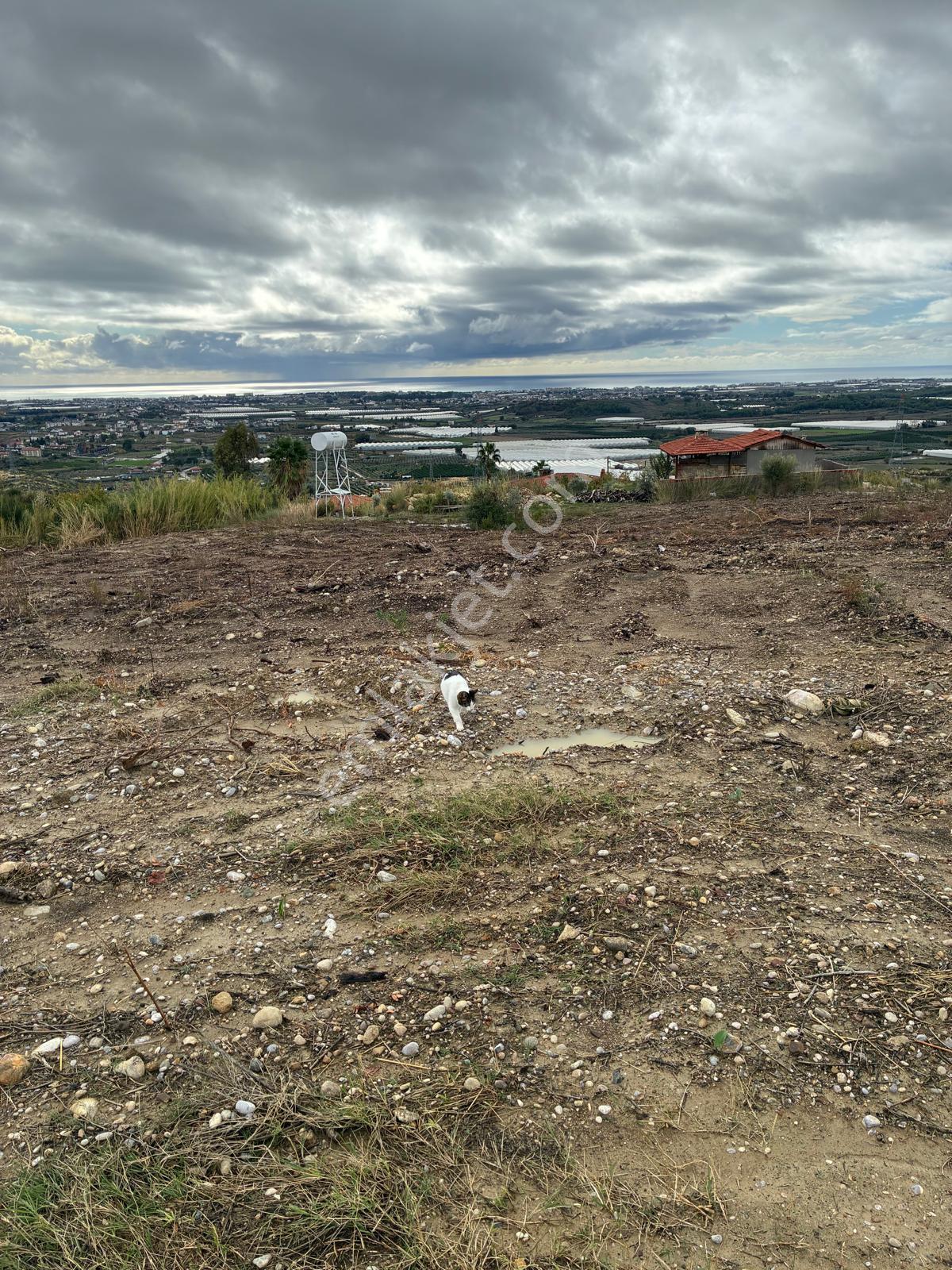 Manavgat Evrenseki Bölgesinde 636 M² Satılık Arsa - Görsel 4